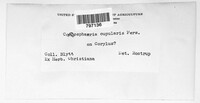 Image Associated With the Occurence